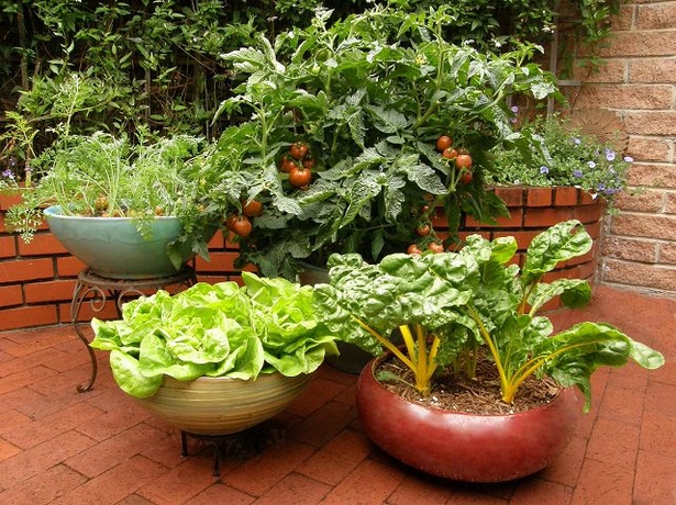 container-veggie-garden-97 Контейнер зеленчукова градина