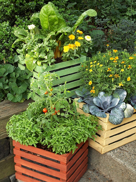 container-veggie-garden-97_8 Контейнер зеленчукова градина