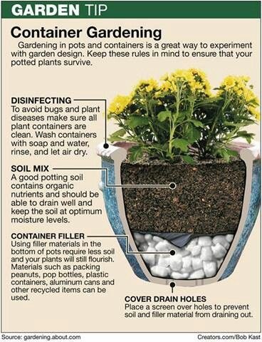 containers-for-container-gardening-75_11 Контейнери за контейнер градинарство