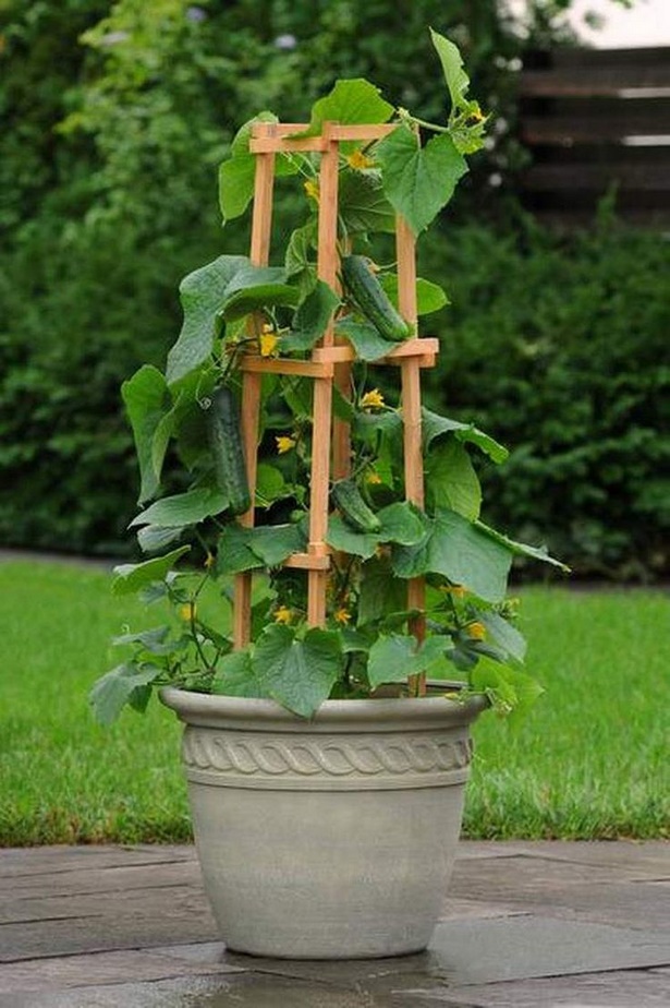 containers-for-container-gardening-75_5 Контейнери за контейнер градинарство