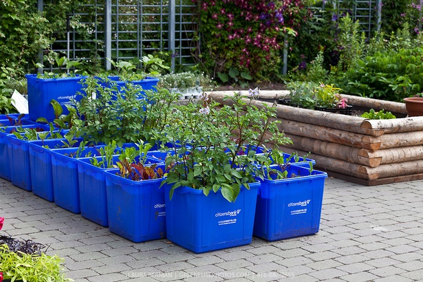containers-for-gardening-91_5 Контейнери за градинарство
