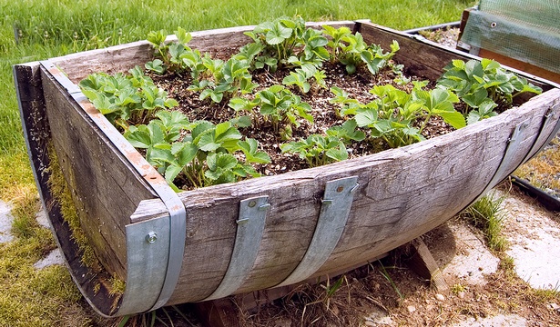 containers-for-gardening-91_6 Контейнери за градинарство