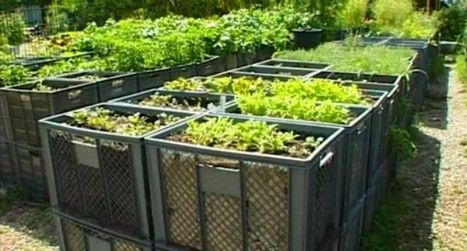 containers-for-gardening-91_9 Контейнери за градинарство