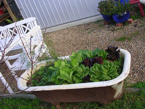 creative-containers-for-gardening-98_7 Творчески контейнери за градинарство