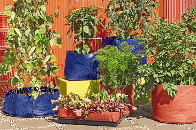 creative-containers-for-gardening-98_8 Творчески контейнери за градинарство