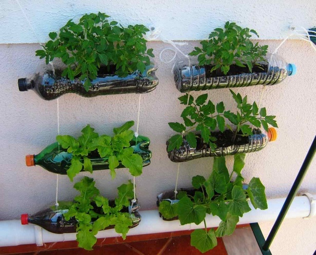 Творчески контейнери за растения