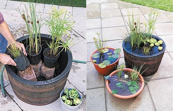 creative-containers-for-plants-70_12 Творчески контейнери за растения