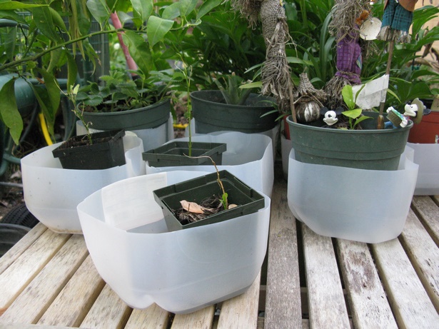 creative-containers-for-plants-70_6 Творчески контейнери за растения