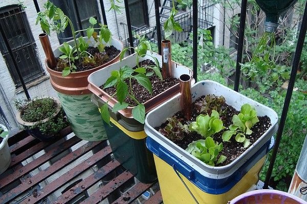 creative-containers-for-plants-70_9 Творчески контейнери за растения