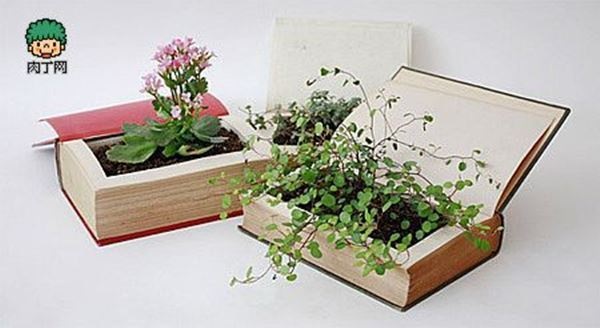 creative-plant-pots-49 Творчески саксии за растения