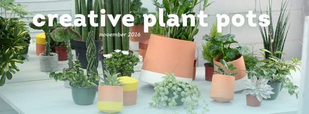 creative-plant-pots-49_8 Творчески саксии за растения