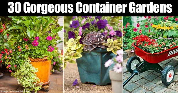 deck-container-garden-96_14 Палуба контейнер градина
