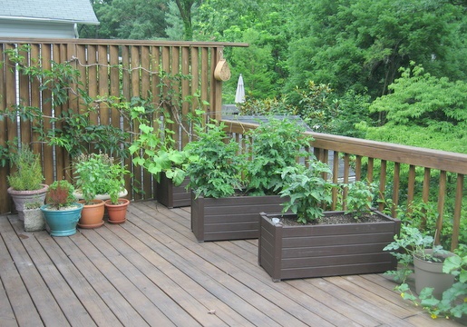deck-gardening-containers-51_14 Палубни градински контейнери