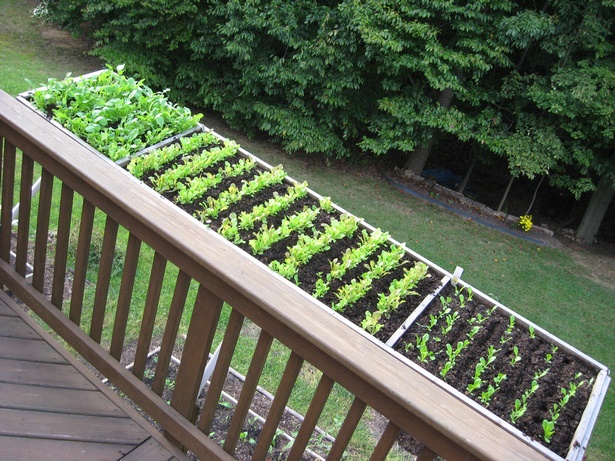 deck-vegetable-garden-ideas-17_4 Палуба зеленчукова градина идеи