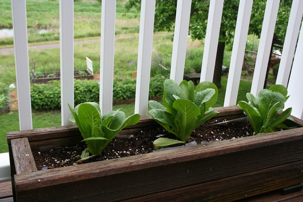 deck-vegetable-garden-ideas-17_7 Палуба зеленчукова градина идеи