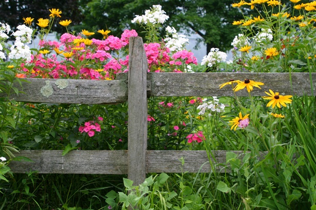 decorative-fencing-for-flower-beds-45_14 Декоративни огради за цветни лехи