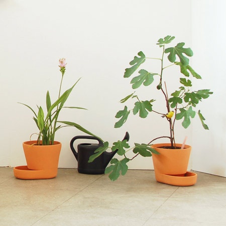 design-plant-pots-66 Дизайн саксии за растения