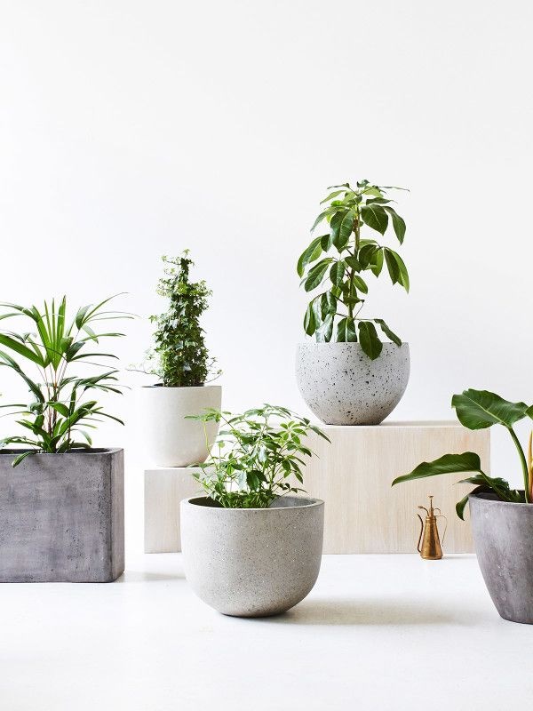design-plant-pots-66_13 Дизайн саксии за растения