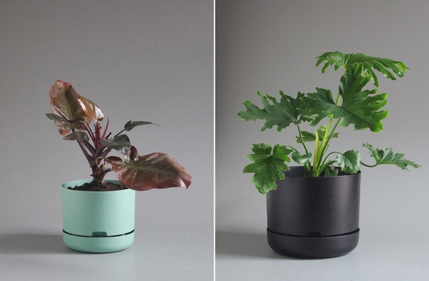 design-plant-pots-66_19 Дизайн саксии за растения