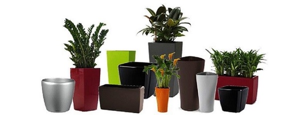 design-pots-for-plants-34_10 Дизайн саксии за растения