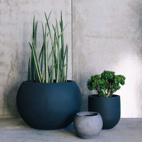 design-pots-for-plants-34_5 Дизайн саксии за растения