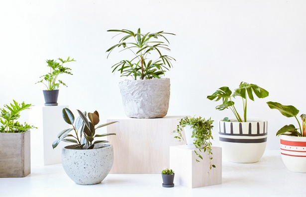 design-pots-for-plants-34_8 Дизайн саксии за растения