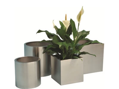 designer-pot-plants-54_11 Дизайнерски саксийни растения