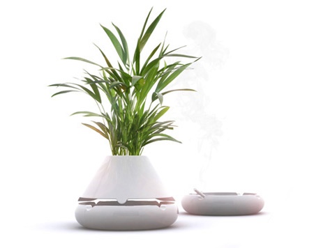 designer-pot-plants-54_13 Дизайнерски саксийни растения
