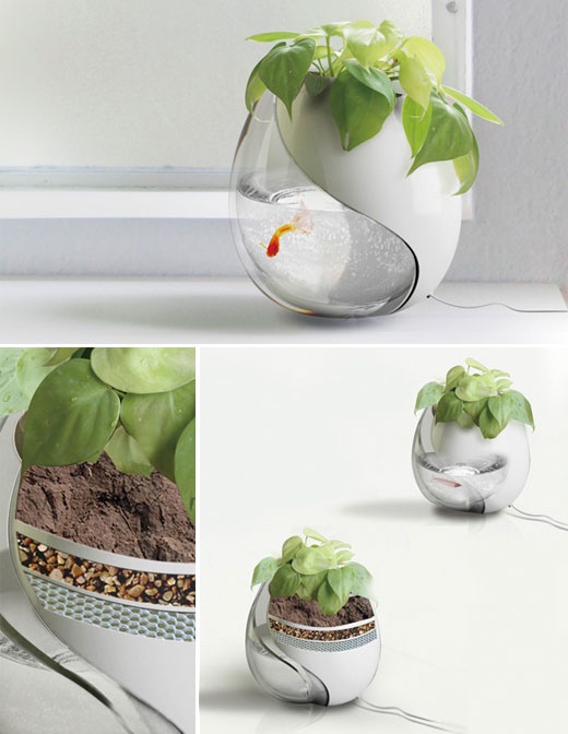 designer-pot-plants-54_14 Дизайнерски саксийни растения