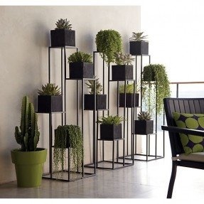 designer-pot-plants-54_7 Дизайнерски саксийни растения
