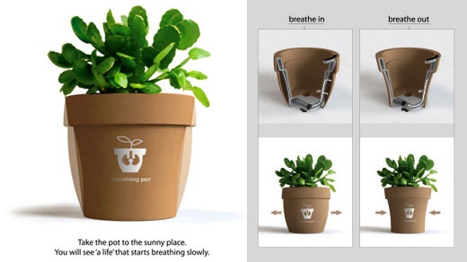 designer-pot-plants-54_8 Дизайнерски саксийни растения