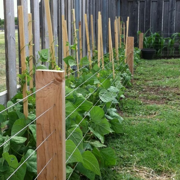 diy-garden-fence-85_14 Направи си градина ограда