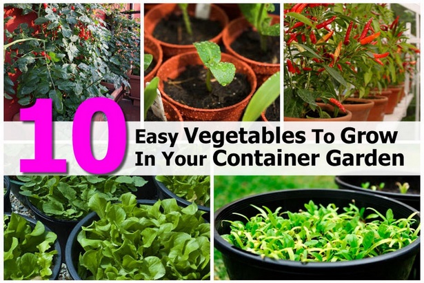 easy-container-gardening-22_12 Лесно контейнер градинарство