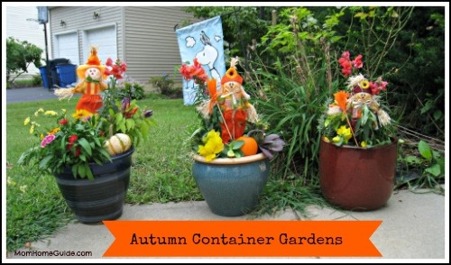 fall-container-gardening-89_12 Есен контейнер градинарство