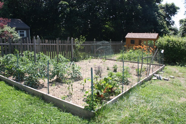 fence-around-vegetable-garden-89 Ограда около зеленчукова градина