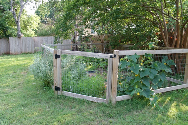 fence-around-vegetable-garden-89_15 Ограда около зеленчукова градина
