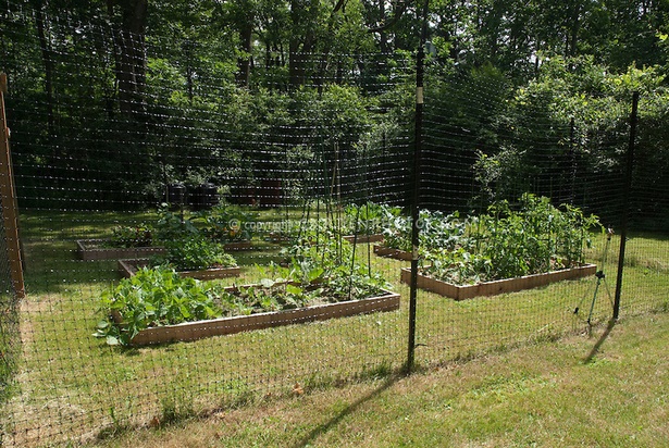 fence-around-vegetable-garden-89_6 Ограда около зеленчукова градина