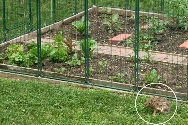 fencing-in-a-garden-34_10 Фехтовка в градина