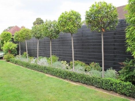 fencing-options-for-gardens-97_15 Опции за ограждане на градини