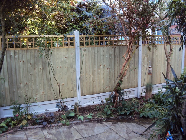 fencing-options-for-gardens-97_6 Опции за ограждане на градини