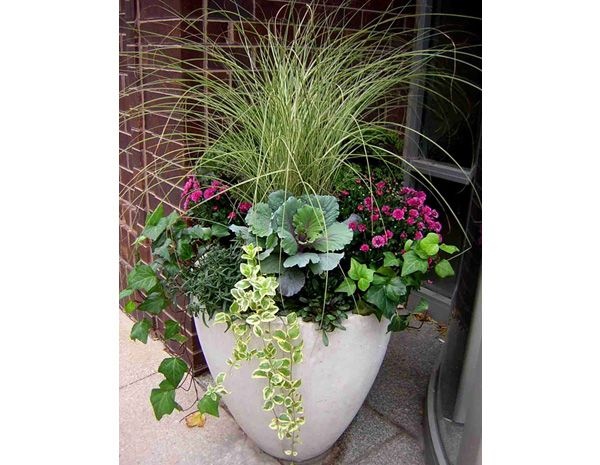 flower-arrangements-in-pots-30 Цветни аранжировки в саксии