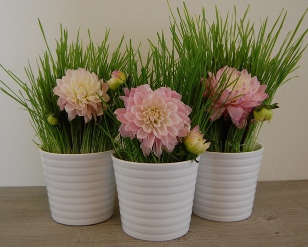 flower-arrangements-in-pots-30_12 Цветни аранжировки в саксии