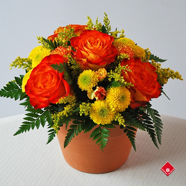 flower-arrangements-in-pots-30_4 Цветни аранжировки в саксии