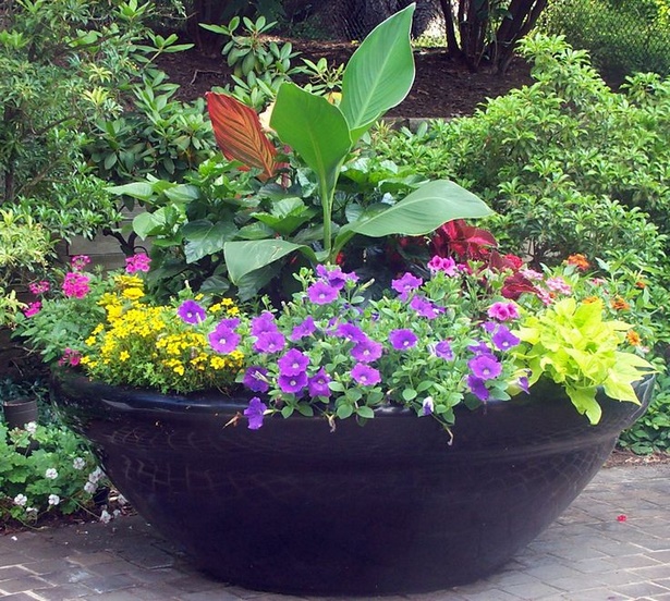 flower-container-gardening-ideas-54_12 Цвете контейнер градинарство идеи