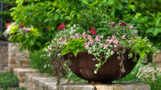 flower-container-gardening-79_10 Цвете контейнер градинарство