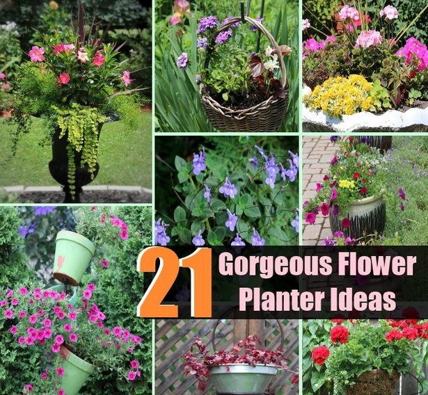 flower-ideas-for-planters-61_17 Идеи за цветя за плантатори