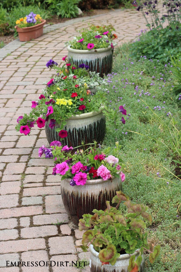 flower-ideas-for-planters-61_19 Идеи за цветя за плантатори