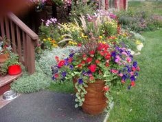 flower-ideas-for-planters-61_20 Идеи за цветя за плантатори