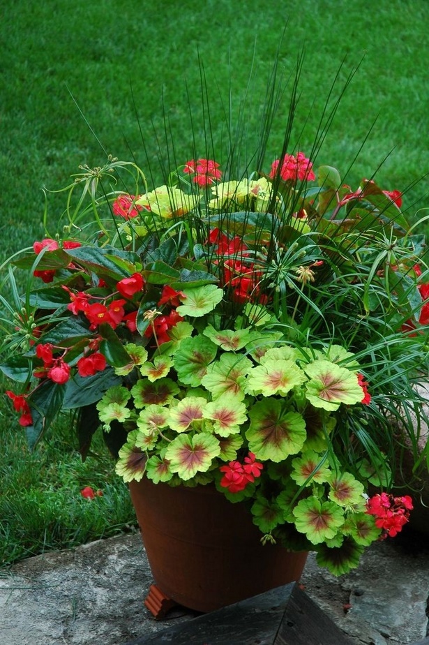 flower-planter-ideas-for-patio-52_14 Цвете плантатор идеи за вътрешен двор