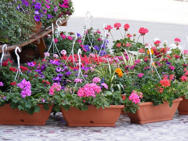 flower-pot-arrangement-ideas-63_11 Идеи за саксия за цветя